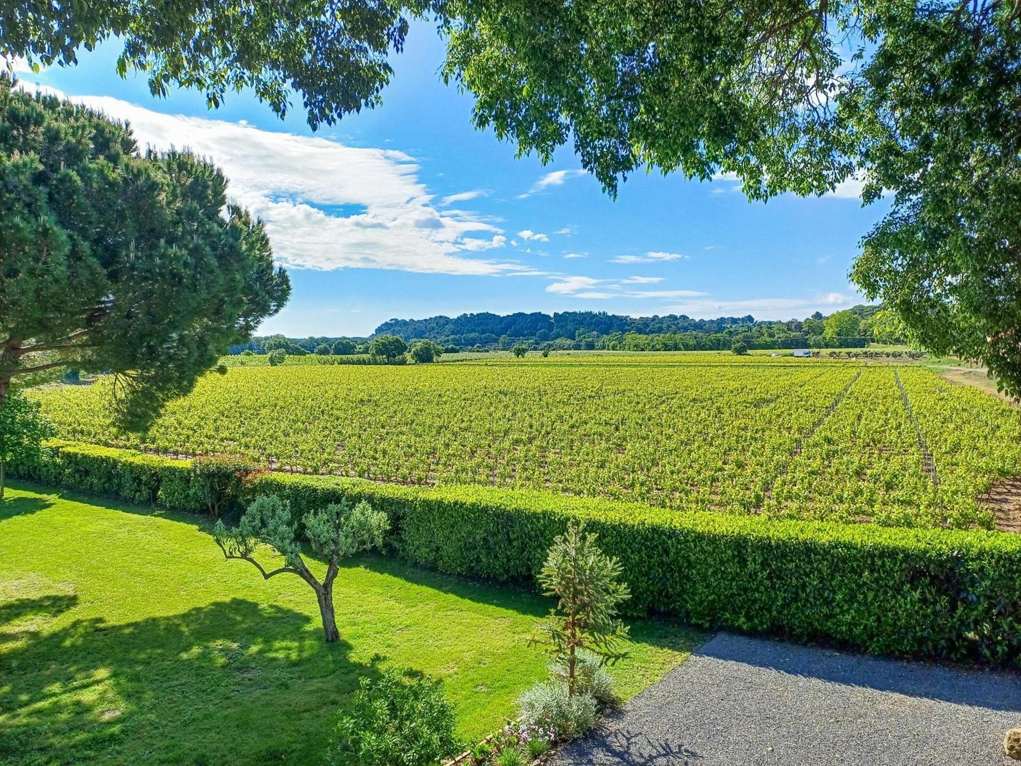 Domaine La Mouline Pézenas Exteriör bild